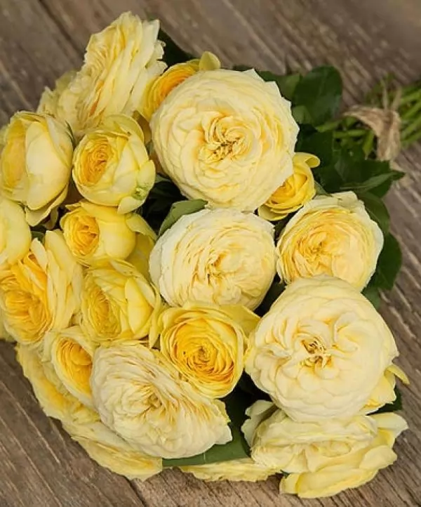 210315090348exm-lemonpompon2-600x722-1