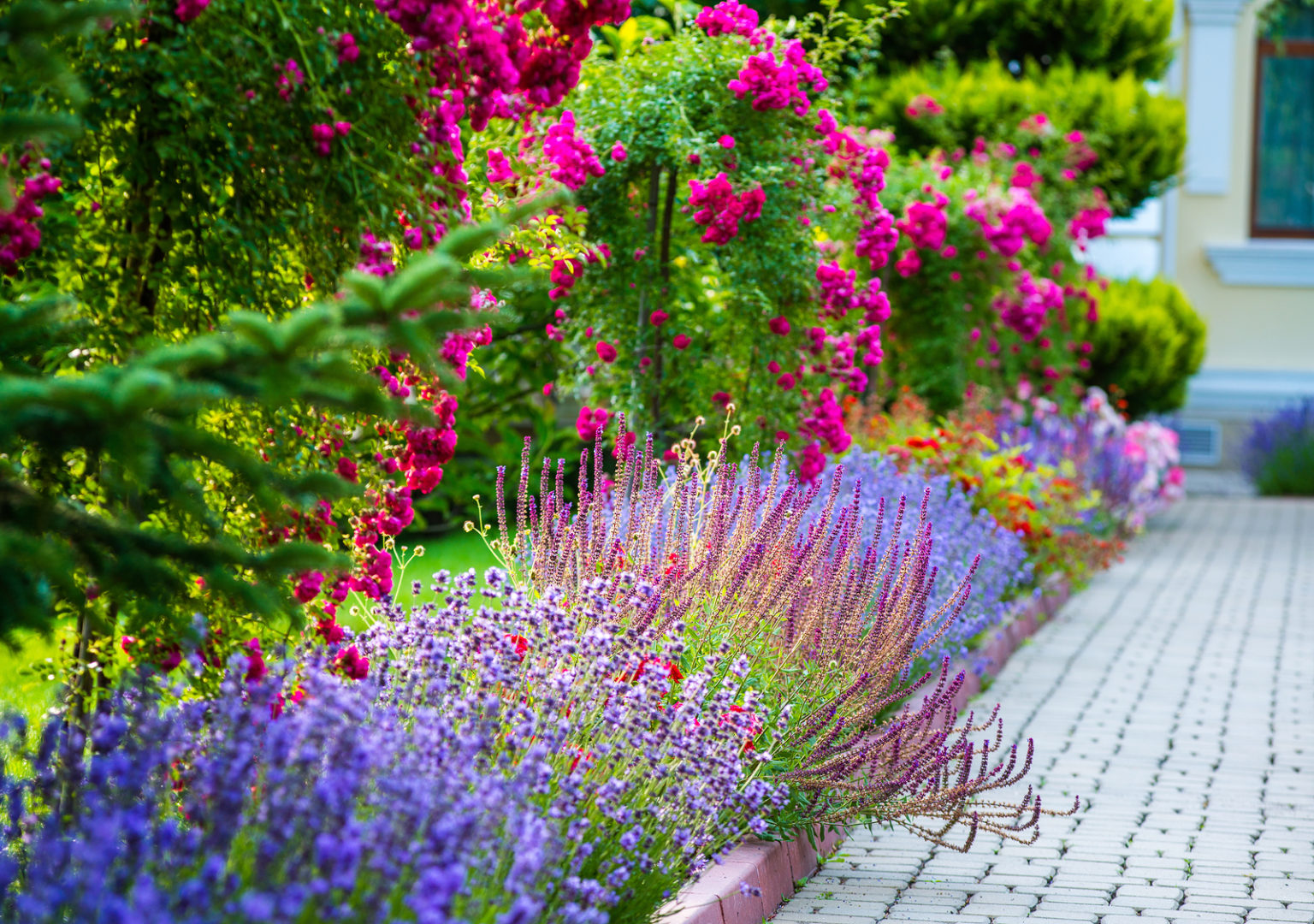 beautiful landscaping with beautiful plants and flowers