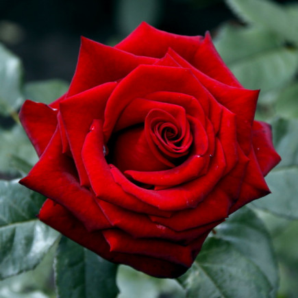 IMG-a84046d84b8aaa3be6ab0a354ca5fe40-V