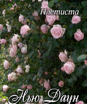 IMG_20231028_141606