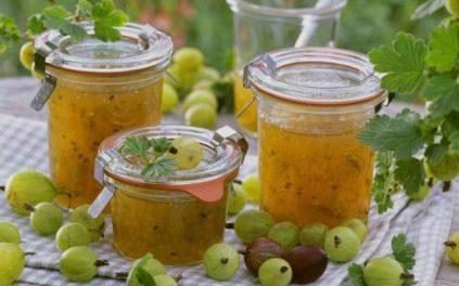 varennya-z-agrysy-receptu-prugotyvannya-423x264.jpg.pagespeed.ce_.kLEz9Psi_Q (1)