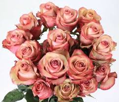images (11)
