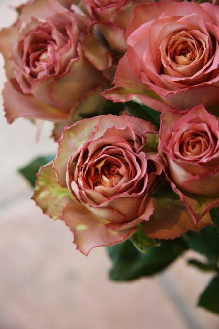images (8)