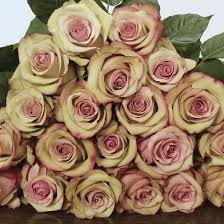 images (9)