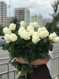 Саджанці троянди Вайт шоколад 93 грн (етикетка) 3шт