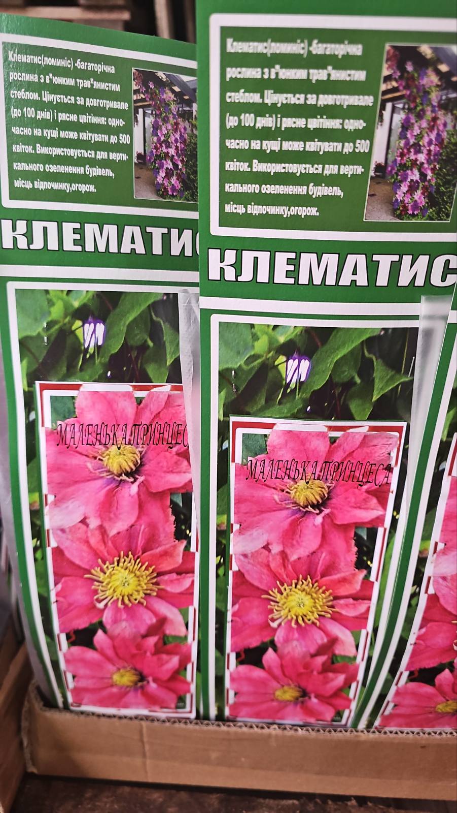 зображення_viber_2026-04-10_11-16-54-214