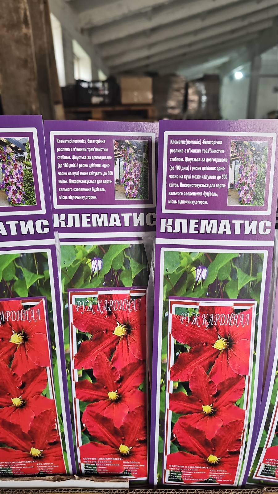 зображення_viber_2026-04-10_11-17-01-113