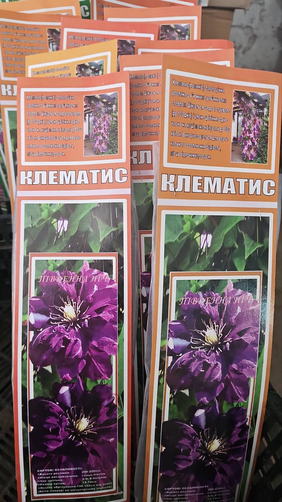 зображення_viber_2026-04-10_11-17-53-986
