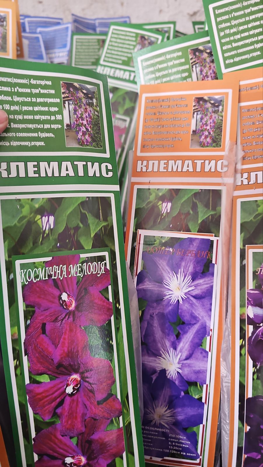 зображення_viber_2026-04-10_11-18-08-182