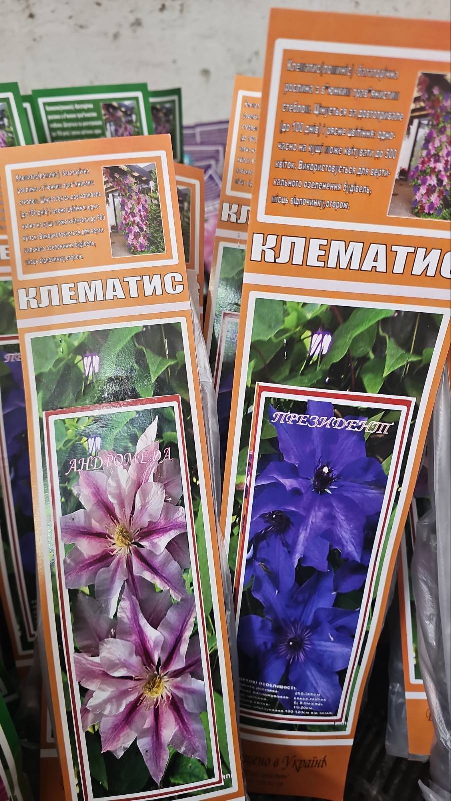 зображення_viber_2026-04-10_11-19-01-703