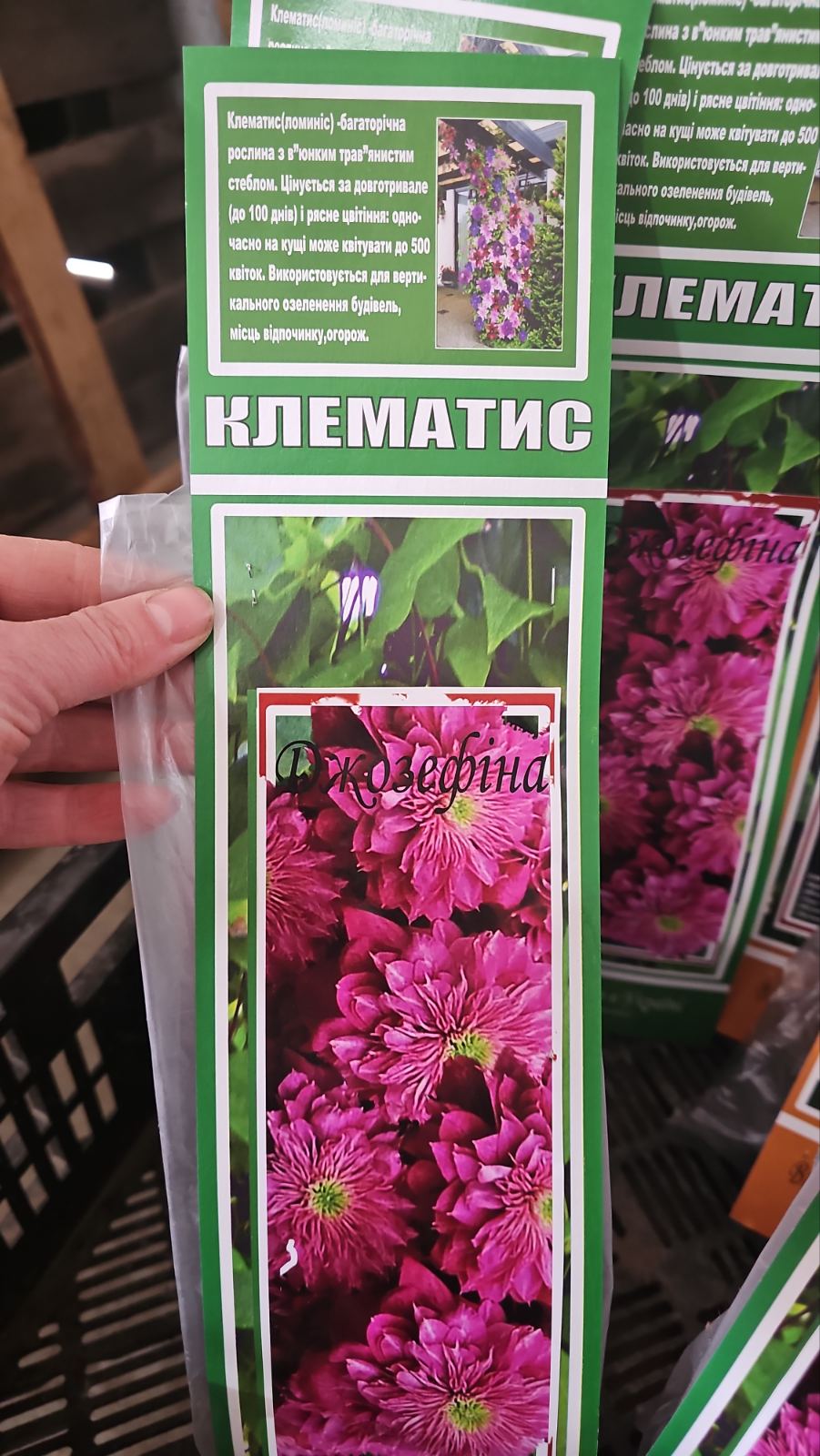 зображення_viber_2026-04-10_11-19-26-213