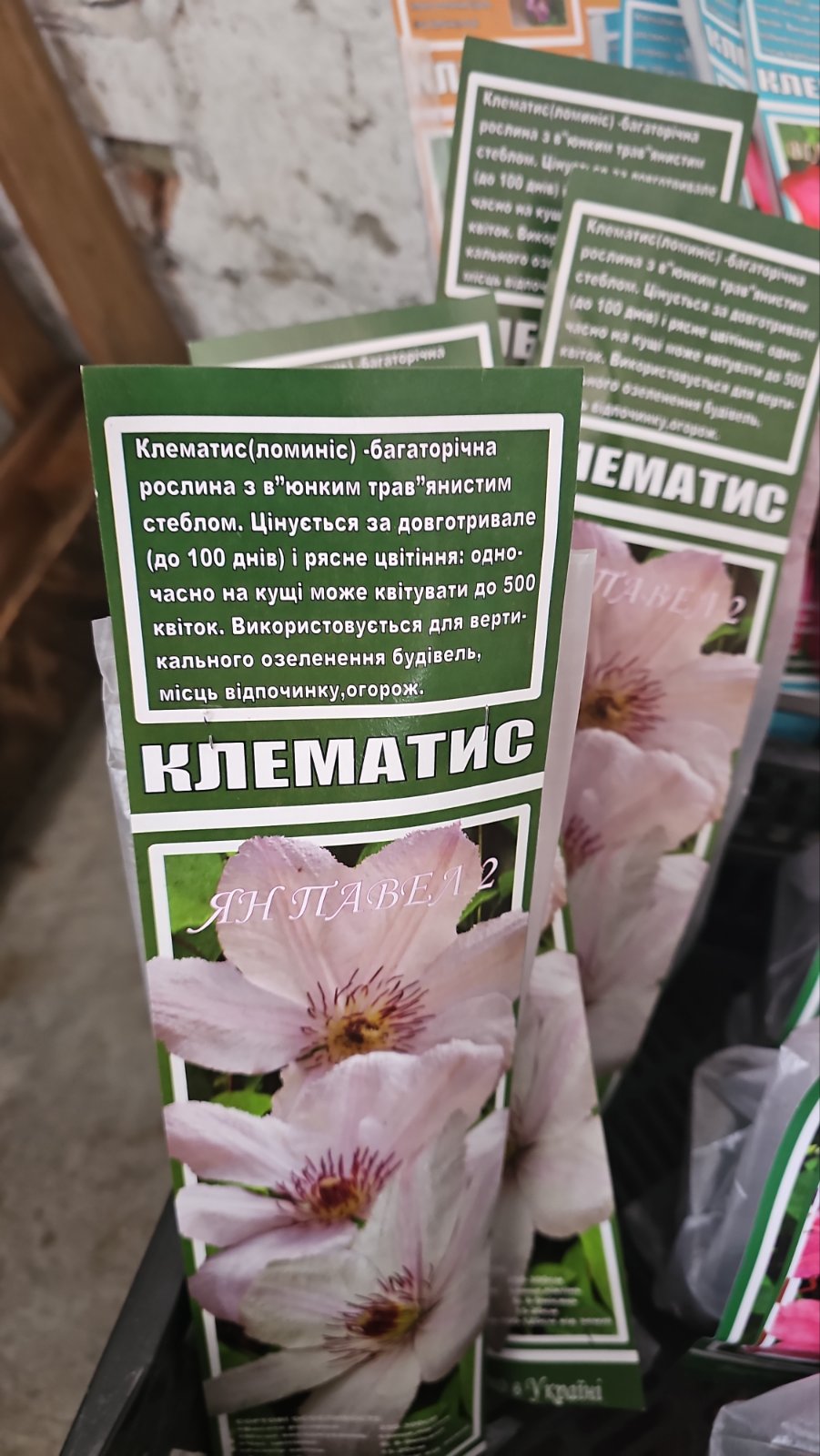 зображення_viber_2026-04-10_11-19-36-861